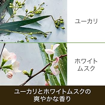 ハーバルエッセンス特大 Amazon | ハーバルエッセンス コンディショナー 本体 400g